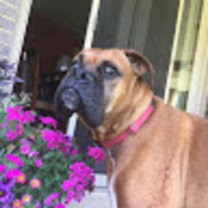 Meet your Posher, Robert